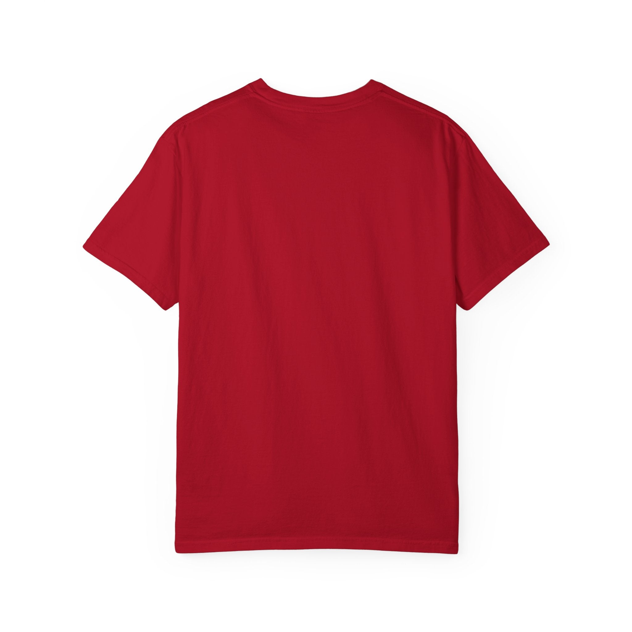 Texas Indiana Logo TX-IN graphic T-Shirt | Lone Star Flag design
