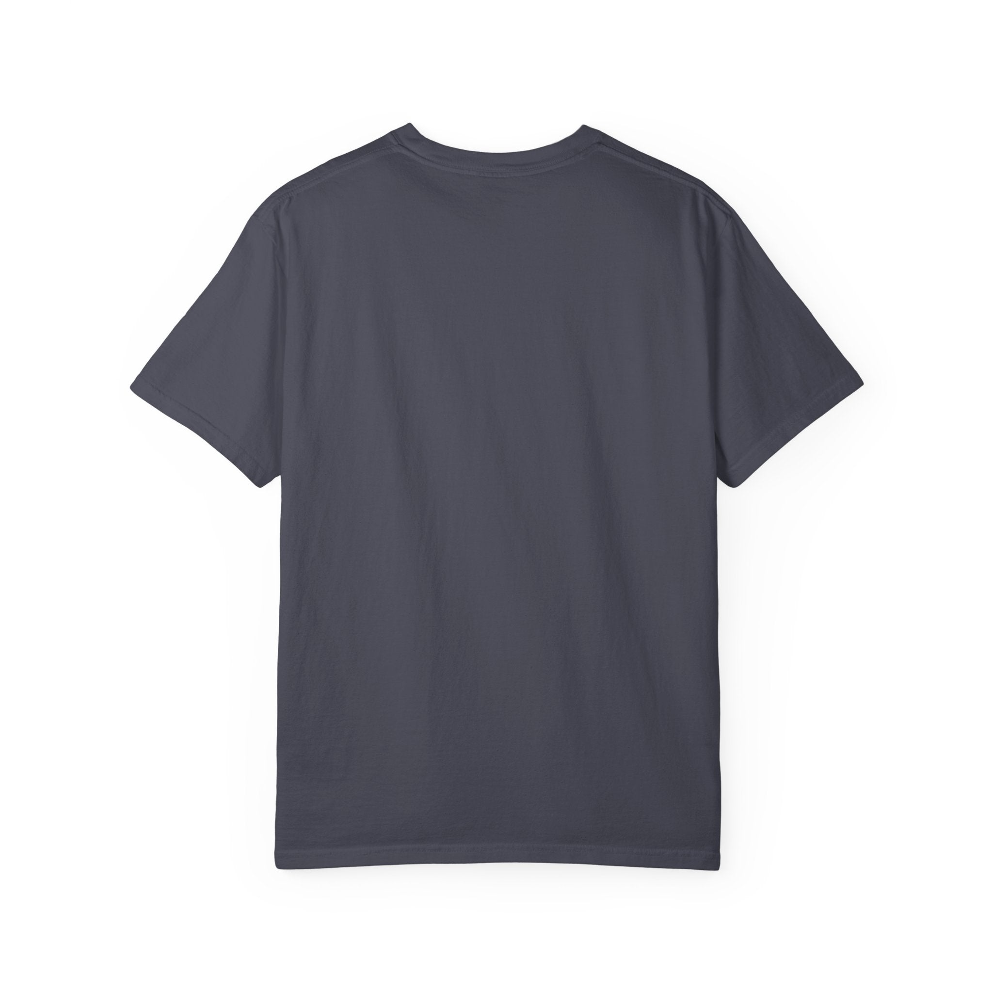Texas Indiana Logo TX-IN graphic T-Shirt | Lone Star Flag design